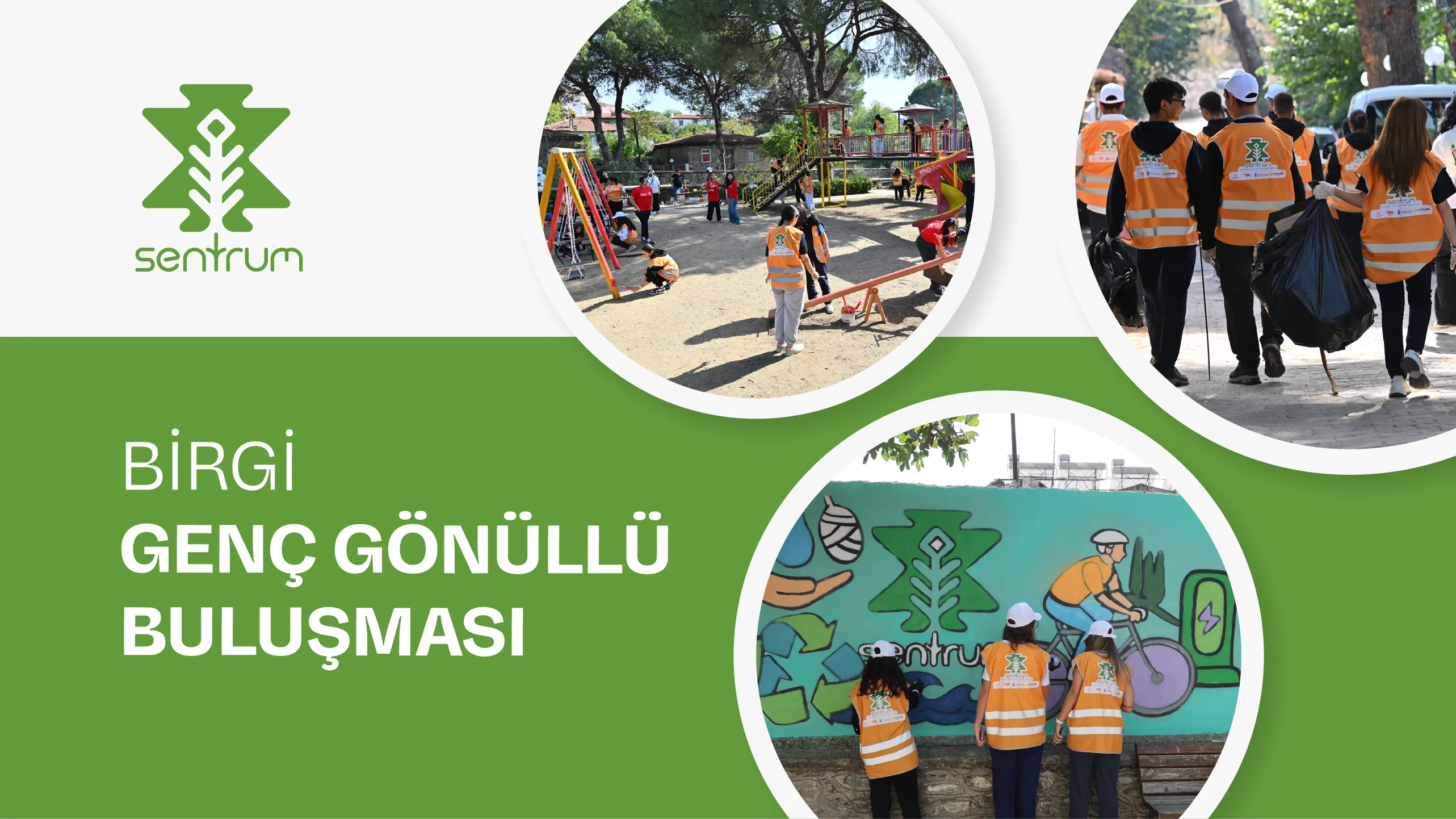birgi-sentrum-small